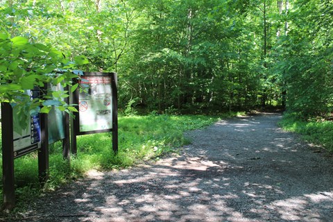 wayside next to a trail going into trees