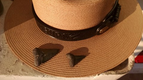 Ranger hat with shark teeth