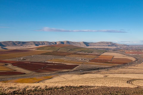 Color photograph of an expansive landscape with a patchwork of agricultural fields.