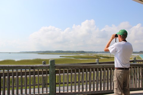 A volunteer using binoculars to bird from the deck of Toms Cove Visitor Center