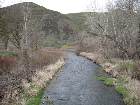 A creek cuts through a lightly wooded area towards a rounded hill in the background