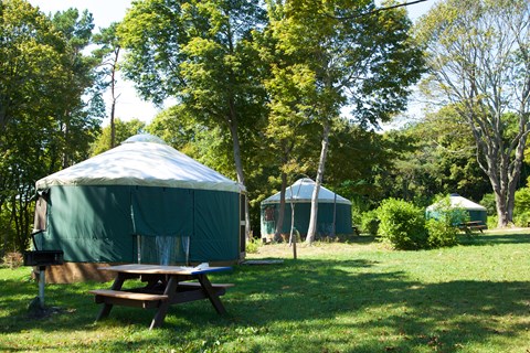 Green tent structures on wooden bases.