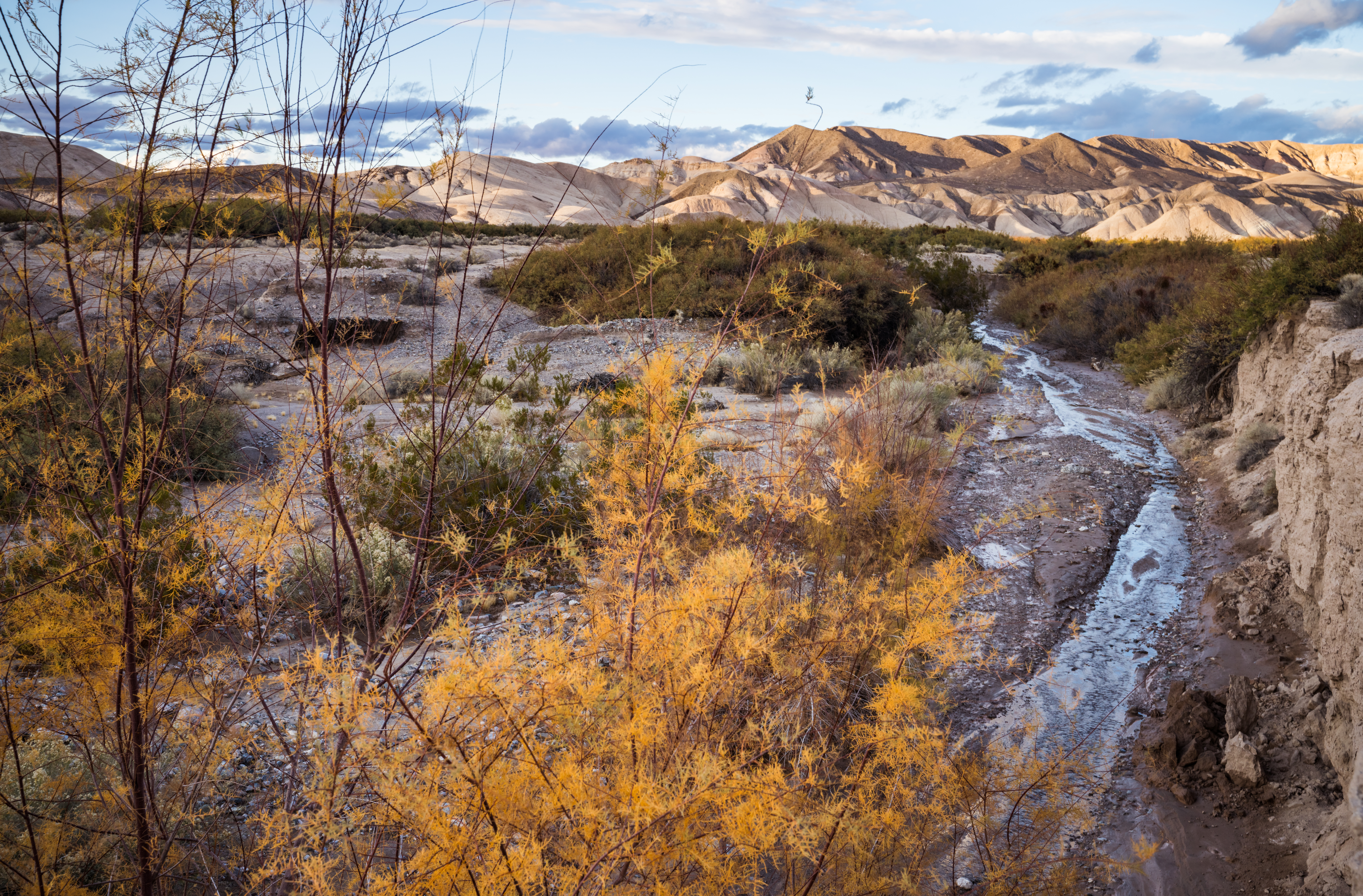Amargosa Canyon