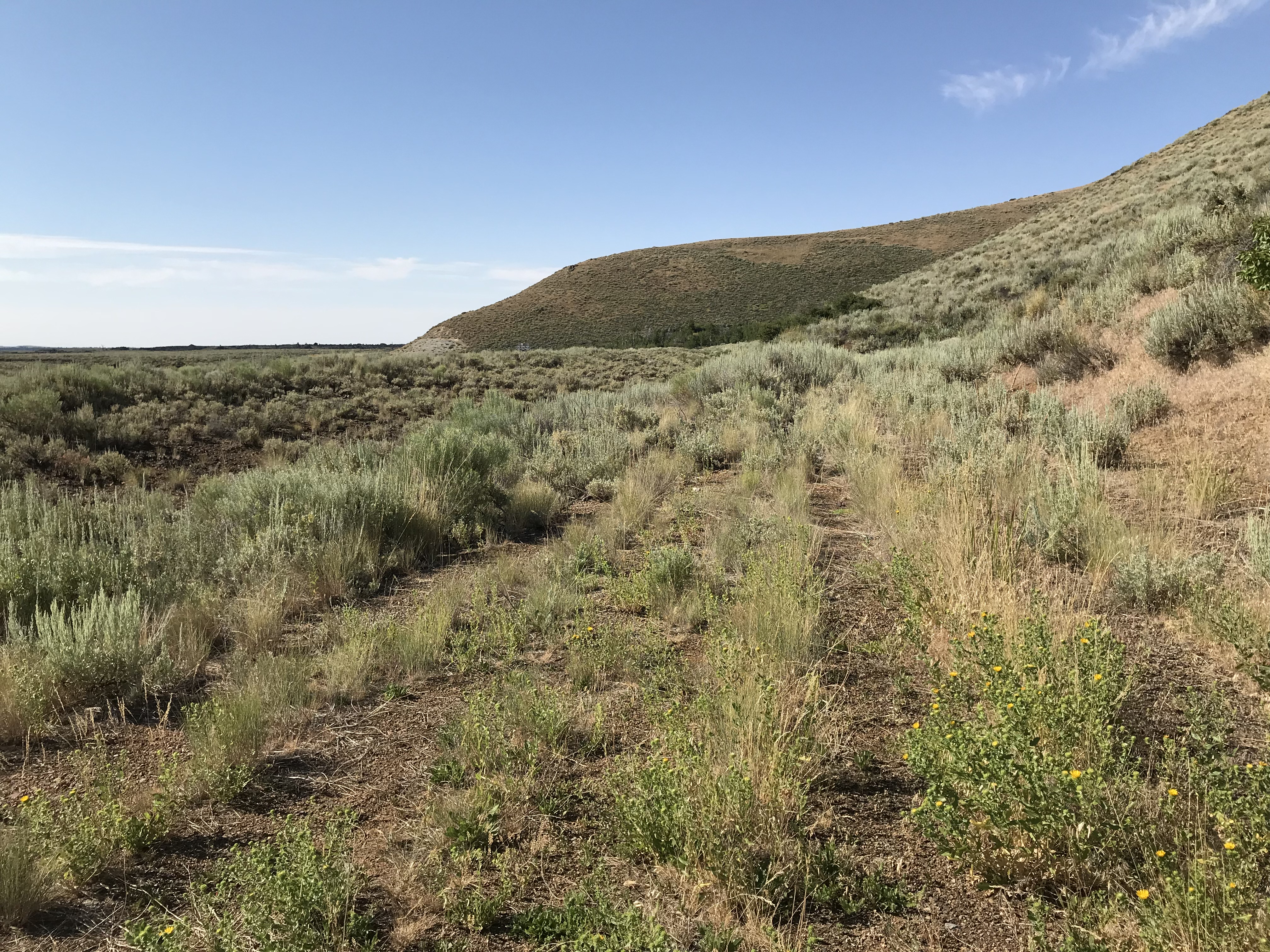 Craters Of The Moon National Monument & Preserve