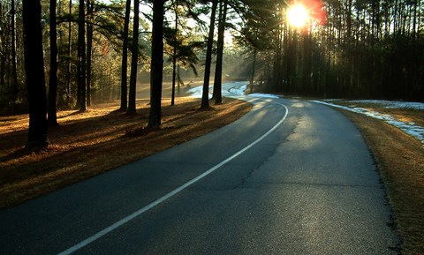 Paved one-way road, with trees along side, and the sun rising to the right.