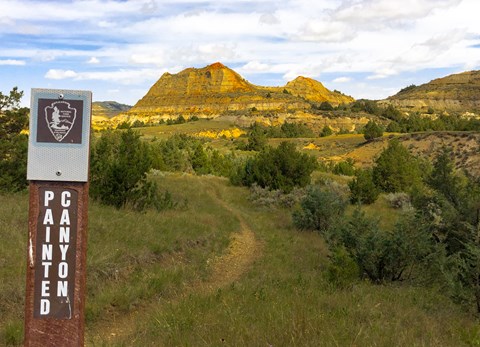 A view up a trail towards a butte through junipers. A trail marker reads Painted Canyon.