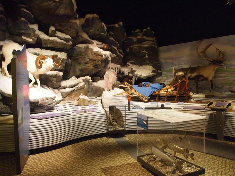 Visit the Northwest Arctic Heritage Center