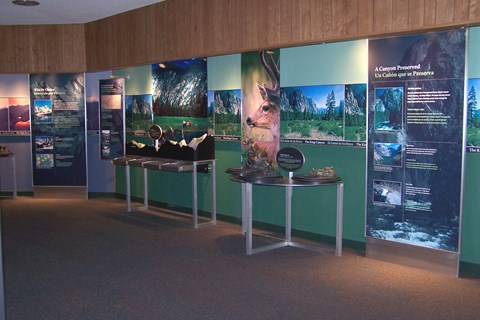 A museum display at Kings Canyon Visitor Center