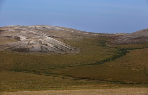 Landscape view of vast green tundra stretching out towards rolling grey hills.