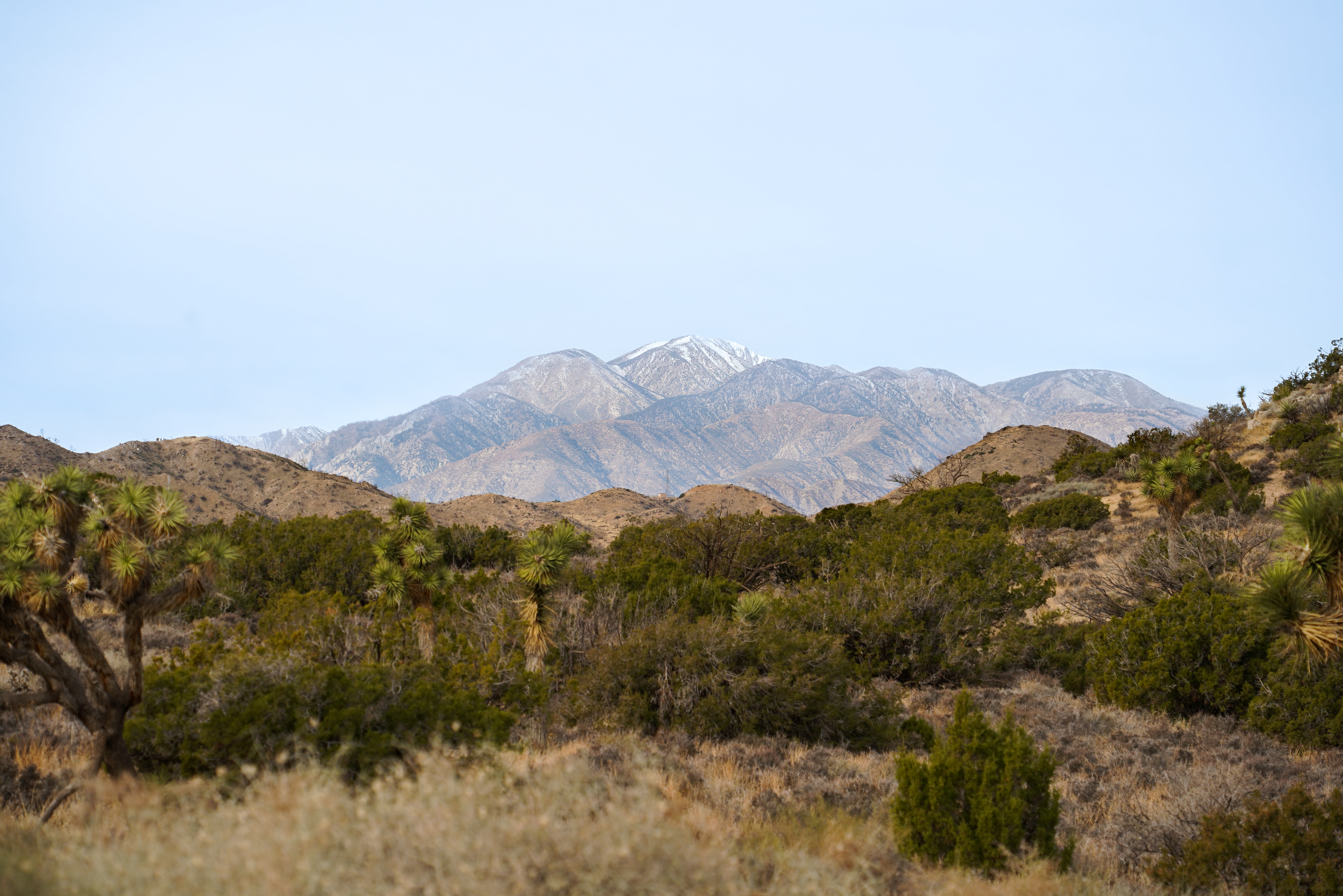 San Gorgonio View