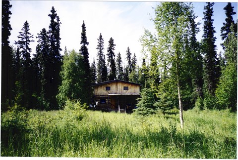 Log house in the forests of Alaska