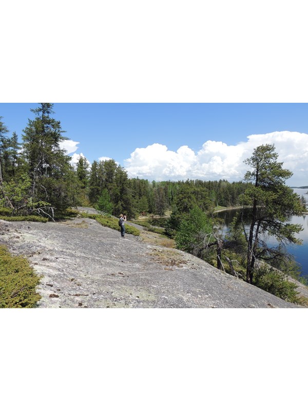 Someone stands on top of the granite outcrop at Anderson Bay looking at the bay and trees below.