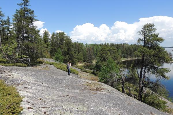 Someone stands on top of the granite outcrop at Anderson Bay looking at the bay and trees below.