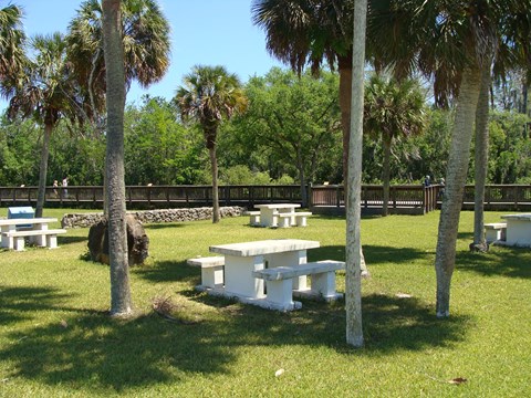 Picnic tables dispersed amongst palm trees with a boardwalk in the background of the image.