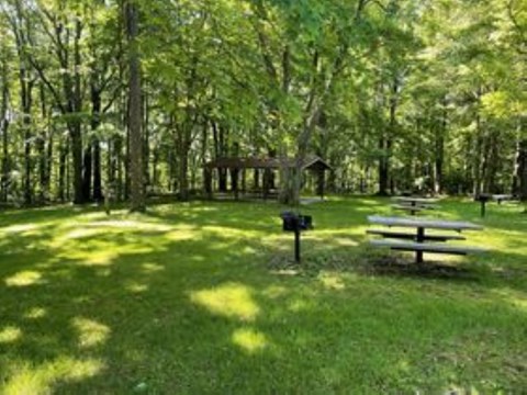 Picnic Area with a covered pavilion and numerous picnic tables