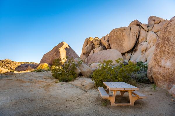 A picnic table in front of small shrubs and a rock formation.