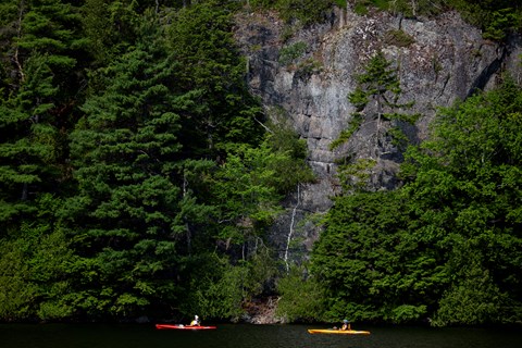 Two people in two kayaks, one red and one yellow, examine trees growing along a cliff by the water