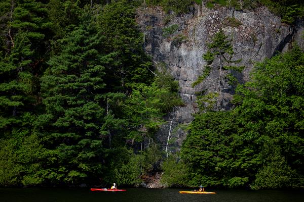 Two people in two kayaks, one red and one yellow, examine trees growing along a cliff by the water