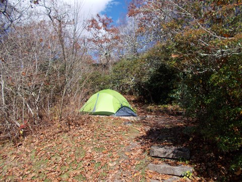 A green tent sits among trees and shrubs in fall
