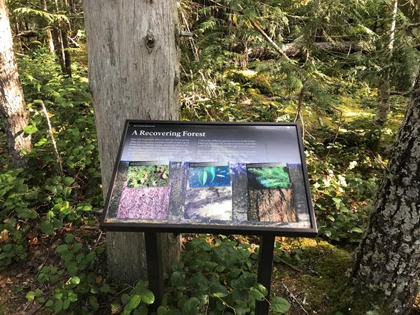 An exhibit panel in a metal stand set into a forest.