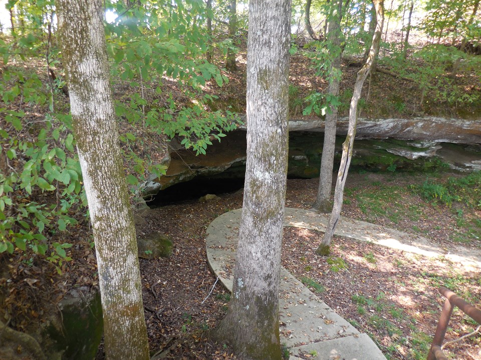 A small cave under a rock shelf with trees surrounding it.