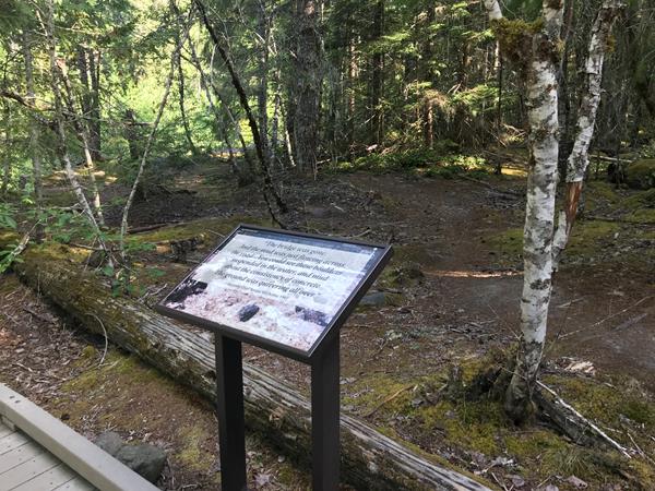 An exhibit panel next to a boardwalk looking into a forest.