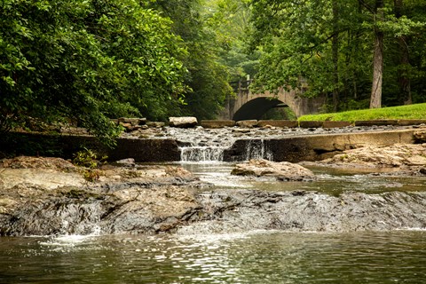 Water flows through a rocky creek bed, surrounded by lush greenery.