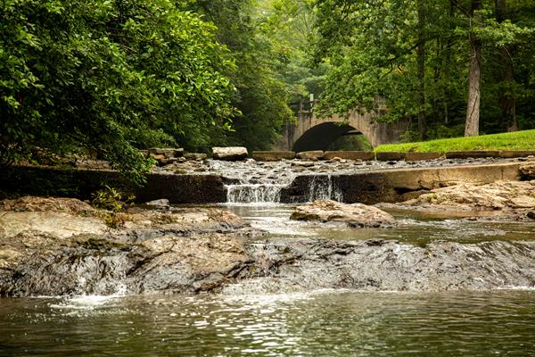 Water flows through a rocky creek bed, surrounded by lush greenery.