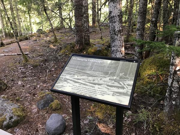 An exhibit panel in a metal stand in a forest.