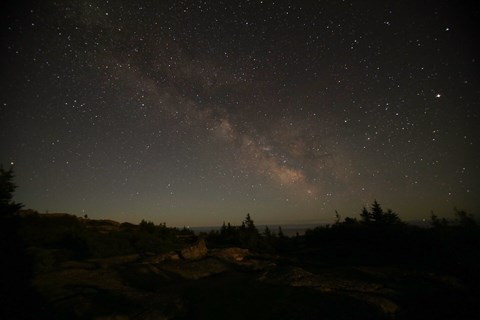Milky way over a mountain summit and trees