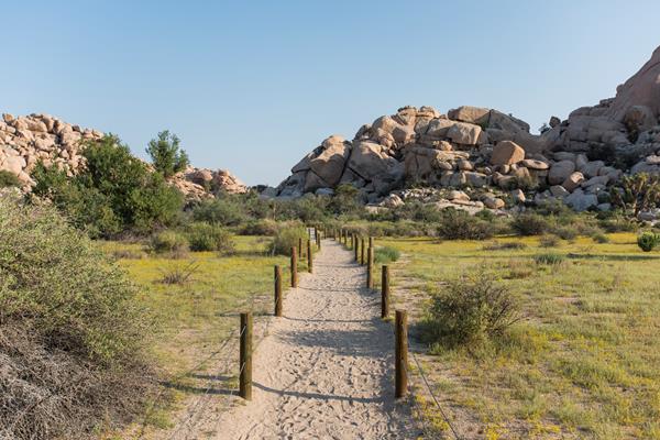 A dirt trail with wooden posts on either side leading towards rock formations in the distance.