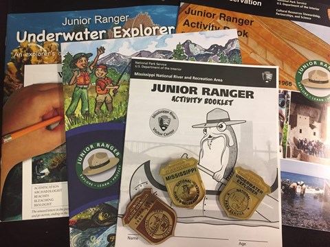 Kids raising their hands to earn a junior ranger badge.