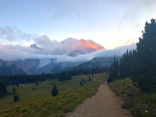 Mount Rainier glows pink and orange as the sun sets. Clouds hang below the summit in an inversion.