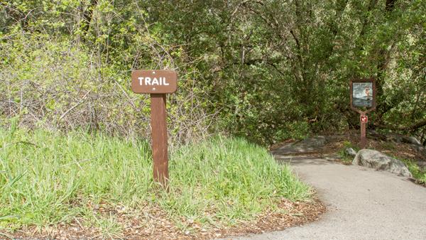 partially paved trail heading into the woods