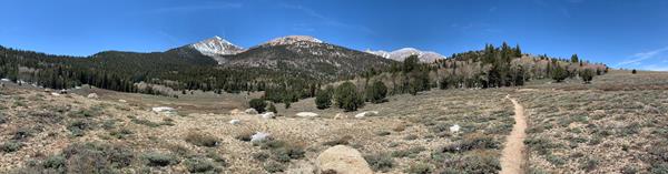 Tan meadow with large mountain in background