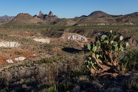 A view across the desert with Mule Ears Peaks in the background.