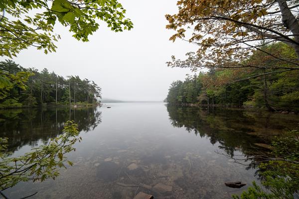 Trees line a waterway under a cloudy sky