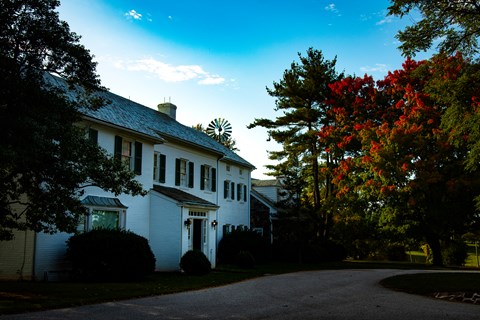 A white brick house with a tree changing colors to red in the fall.