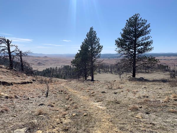 A hiking trail looks out onto the prairie and rolling hills beyond.