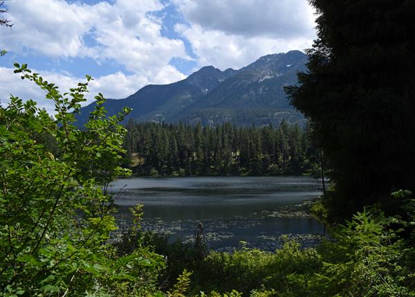 A small shallow blue lake is surrounded by thick forest