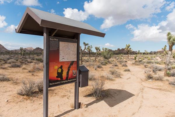 A sign by a dirt trail with information on backpacking with scattered Joshua trees and shrubs nearby