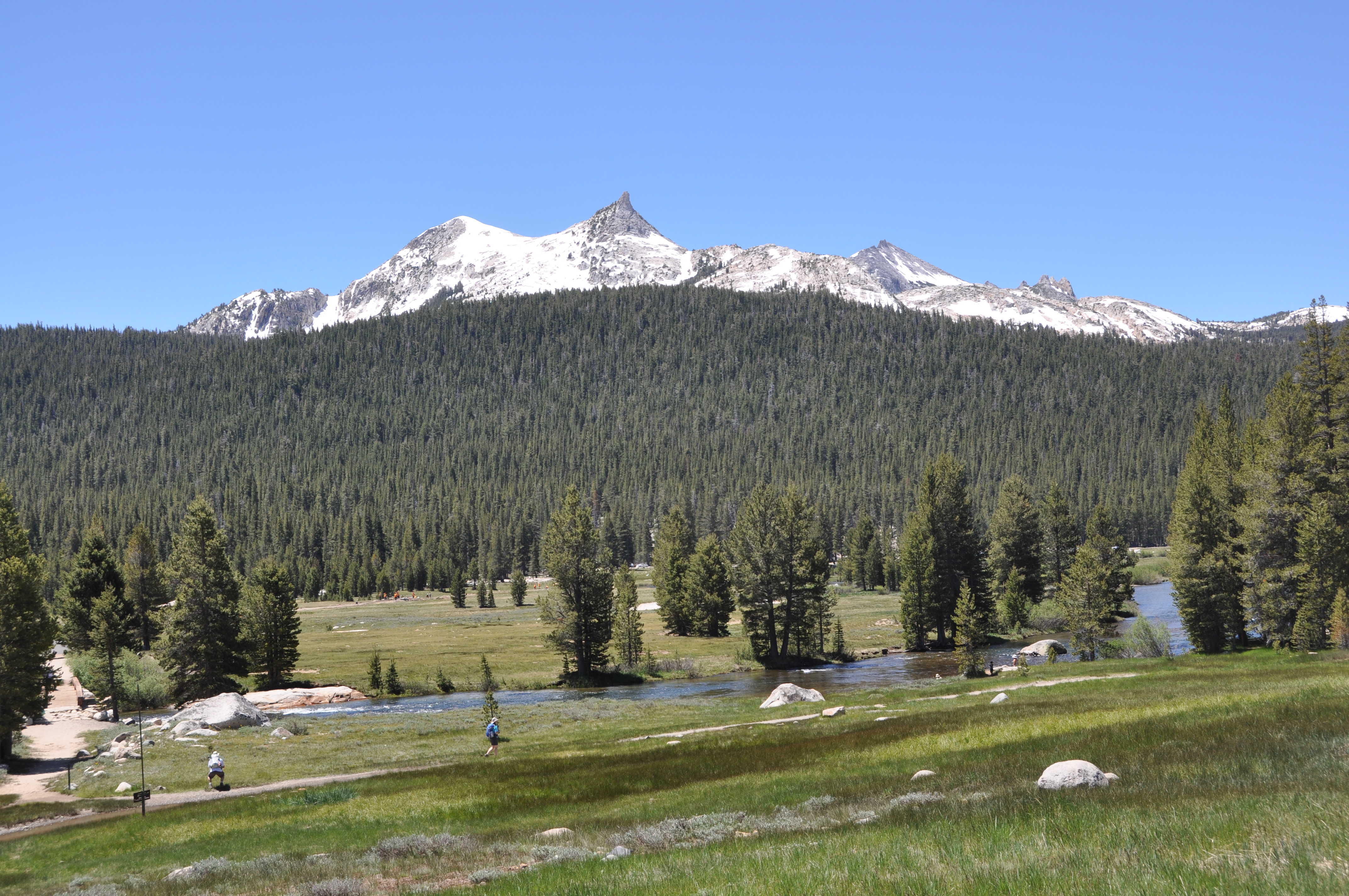 View of alpine meadow and river in Tuolumne Meadows