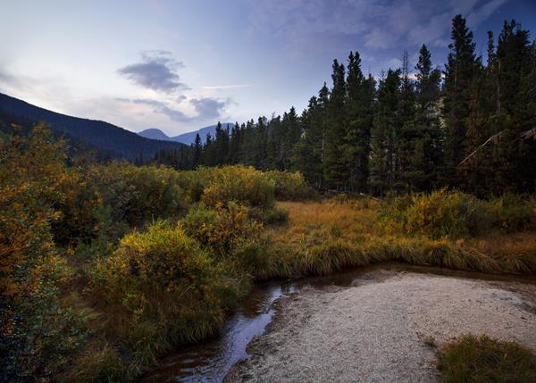 a river runs through bright yellow meadow