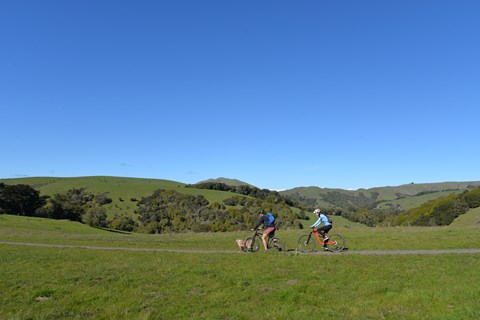 Two bikers and a leashed dog ride down a dirt path through green hillsides.