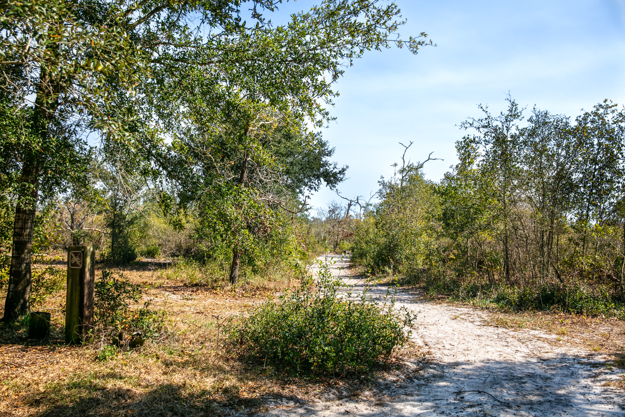 Old Borrow Pit Trail