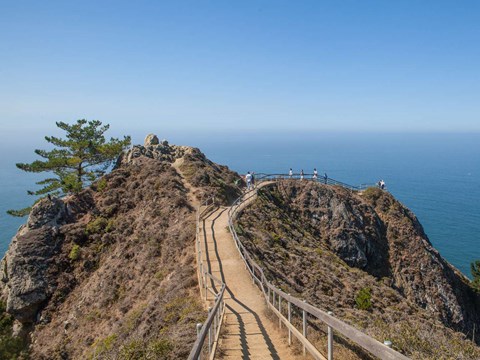 The narrow, wooden fence lined path down to the Muir Beach Overlook