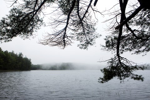 view of a pond with fog rolling in