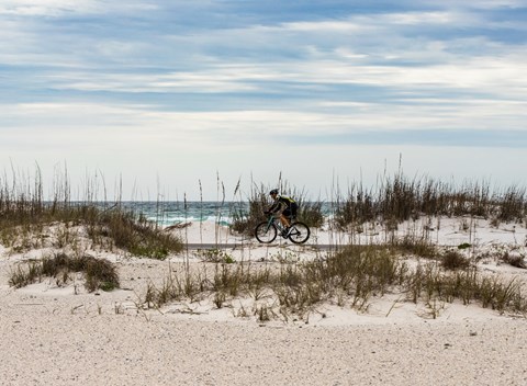 A bicyclist pedals on the road with sand dunes in the foreground and the ocean behind.