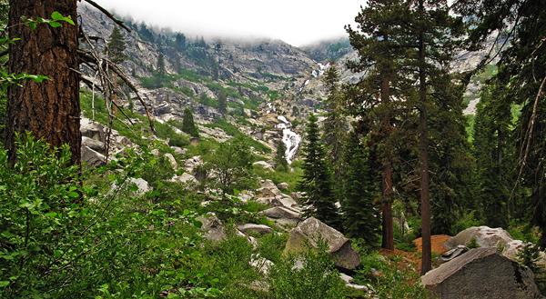 Green foliage in the foreground leading to a waterfall at the end of a canyon