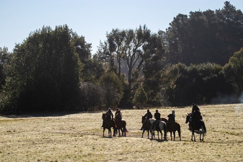 Nine silhouetted horse riders ride through a golden field bordered by tall dark green trees.